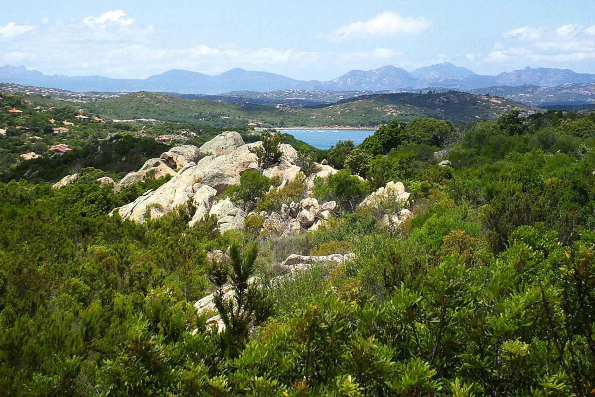 Residence La Tartaruga Monte Petruso San Teodoro San Teodoro  Eksteriør bilde